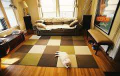 Area rug in a small living room