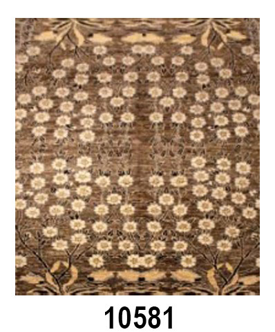 PAK TRANSITIONAL - Item 10581