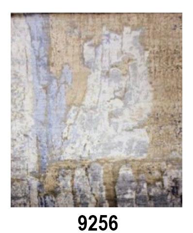 INDO CONTEMPORARY - Item 9256