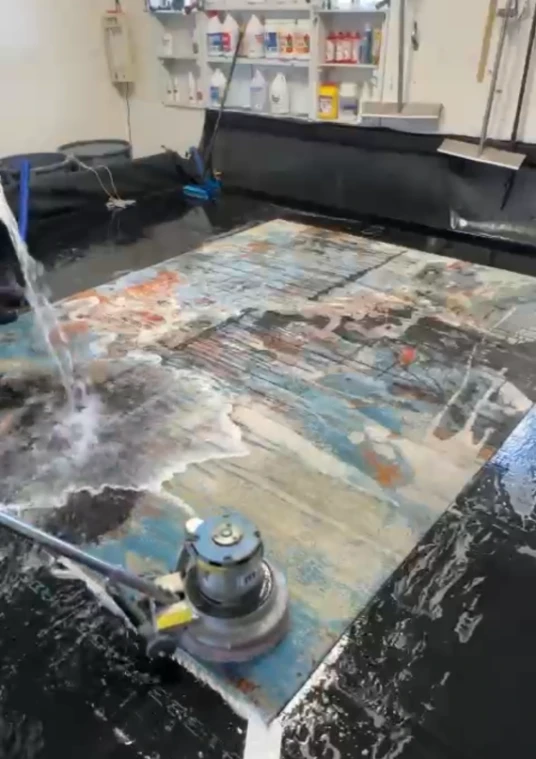 Area Rug Cleaning