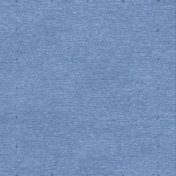 16220 Misty Denim Plain