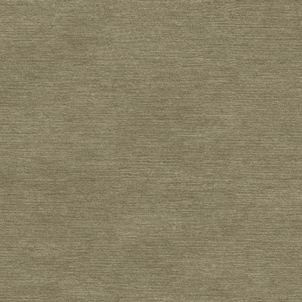 16181 Olive